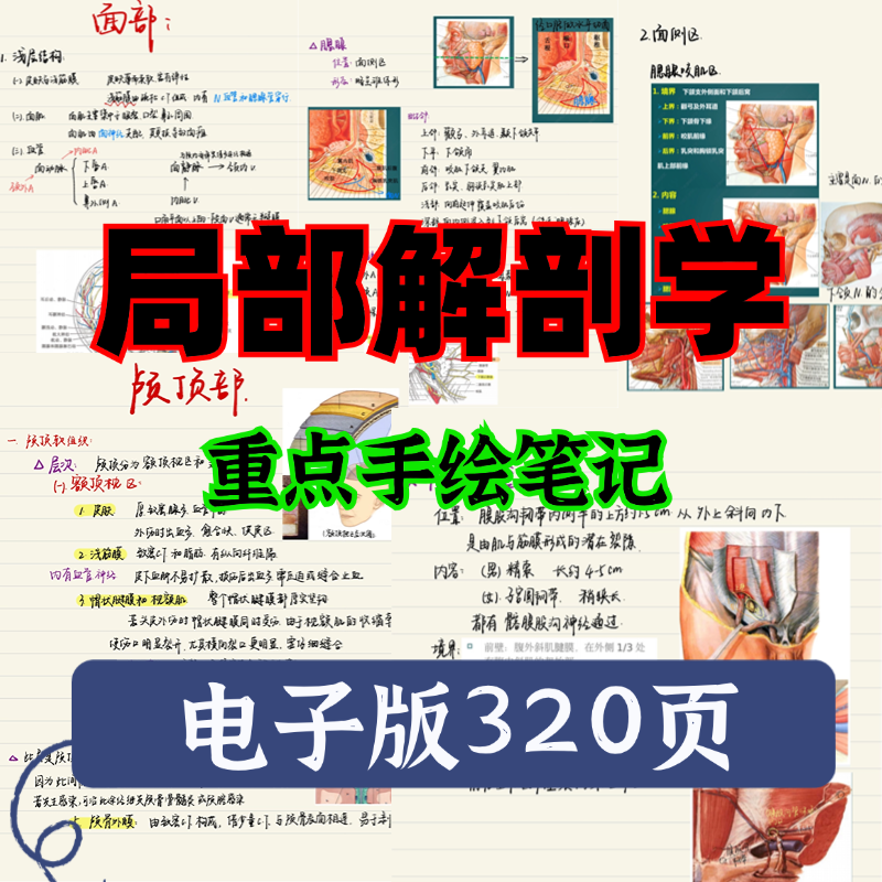 局部解剖学笔记医学笔记解剖学期末考试复习资料手写笔记320页