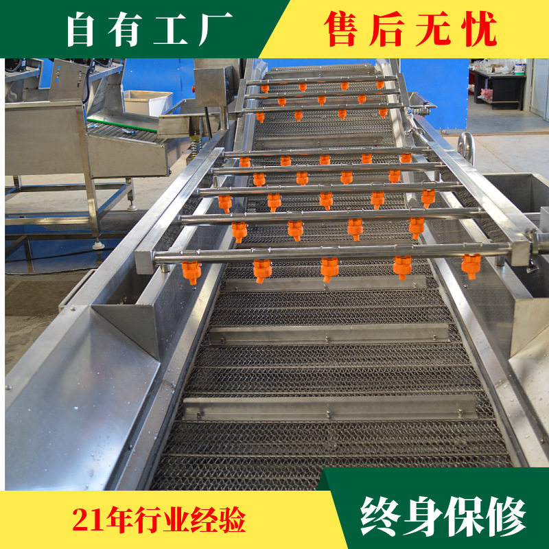 甘肃葡萄干提子清洗风干加工设备红黑枸杞高压喷淋气泡清洗机