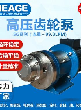 化工造纸17-4硬化钢高压齿轮泵SHEAGE SG-M1S99EE0U030-CS水泵