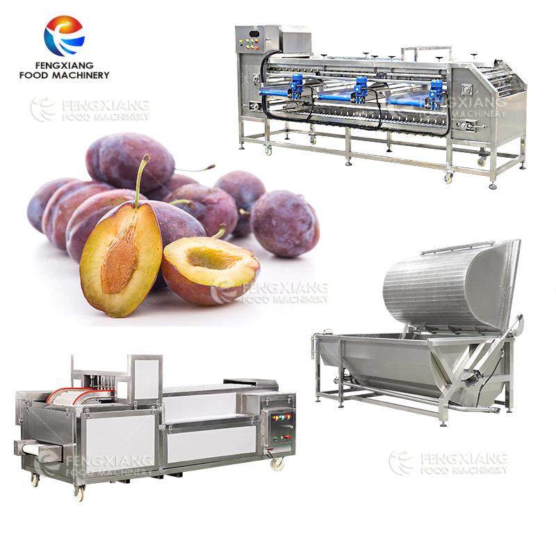 工厂直销西梅自动翻滚式清洗机不伤果肉,清洗/食品/商业设备,其他食品加工设备,淘宝优惠券,粉丝福利购,淘宝优惠卷