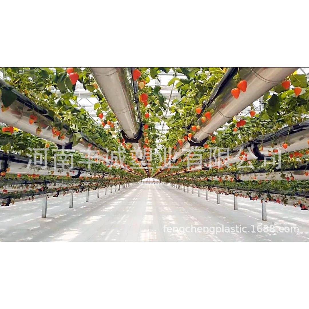 大内无除草膜防草地布白色功能地CLU布棚土栽培厚保湿加反光地布