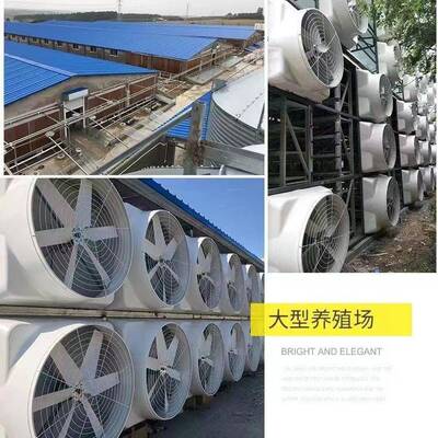 玻璃钢负压风风温室大棚养殖机场通风降轴温排气扇防AXF腐蚀流机