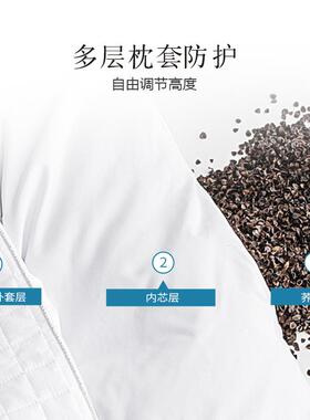 ZQ纯荞麦头水F76MMS85洗枕棉人枕芯单人家用成颈椎中老年荞麦壳护
