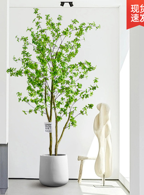 吊钟树仿真绿植假植物马醉木室内大型盆栽客厅装饰落Y地摆件仿真