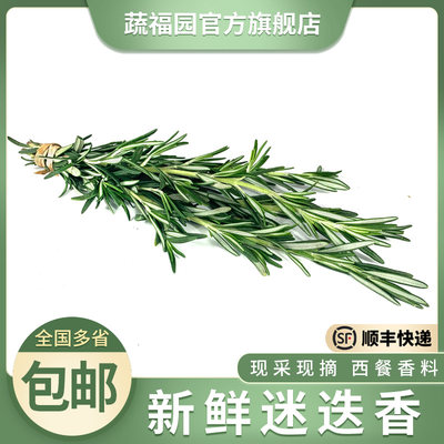 新鲜迷迭香 迷失迷迪香烧烤烘焙调料西餐煎牛排食用香料配料