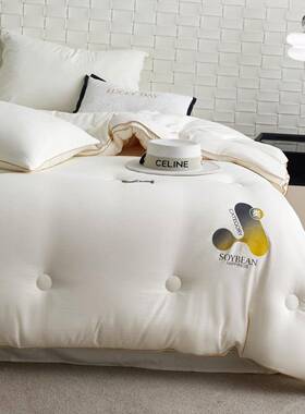 A类豆纤维被春秋被纯棉加大厚冬被暖单人被芯保家用四双季AL20249