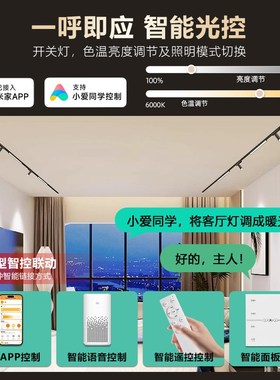 艾登森超薄明装磁吸轨道灯6vcm不吊顶客厅线条泛光卧室过道无主灯