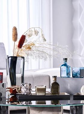 极简式简轻TM-62792奢烟灰色玻璃透明约现代意客厅餐桌旁电视柜花