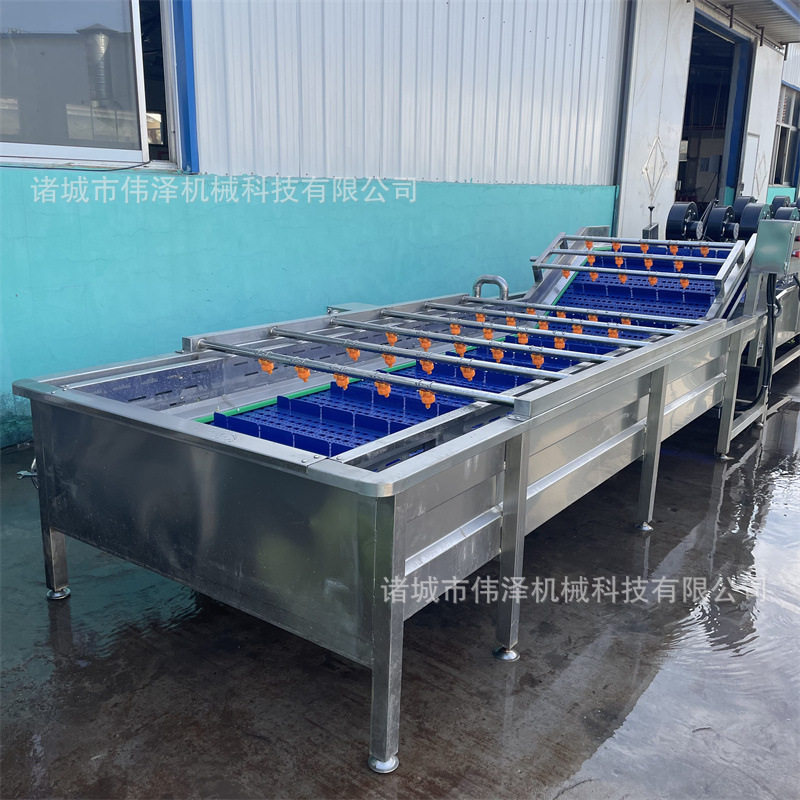 西红柿番茄气泡清洗机 圣女果清洗设备 千禧果洗果机厂家