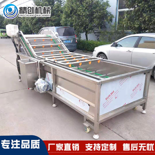 苹果清洗机 大型果蔬清洗机 全自动气泡清洗机 多功能清洗设备