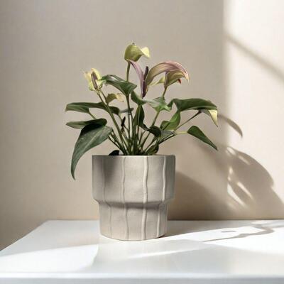 北欧透气磨砂水花盆新居绿萝海芋海棠个花盆奶油性艺LDU术简约室