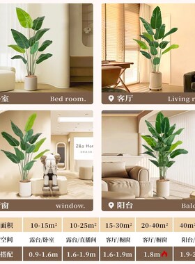 彷真绿色植物旅人蕉假植物装饰室内高端G轻奢天堂鸟摆件彷生大型