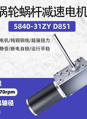 73901V58402-1ZY直流减速电机涡轮蜗杆24大扭矩长3轴微型电动机1V