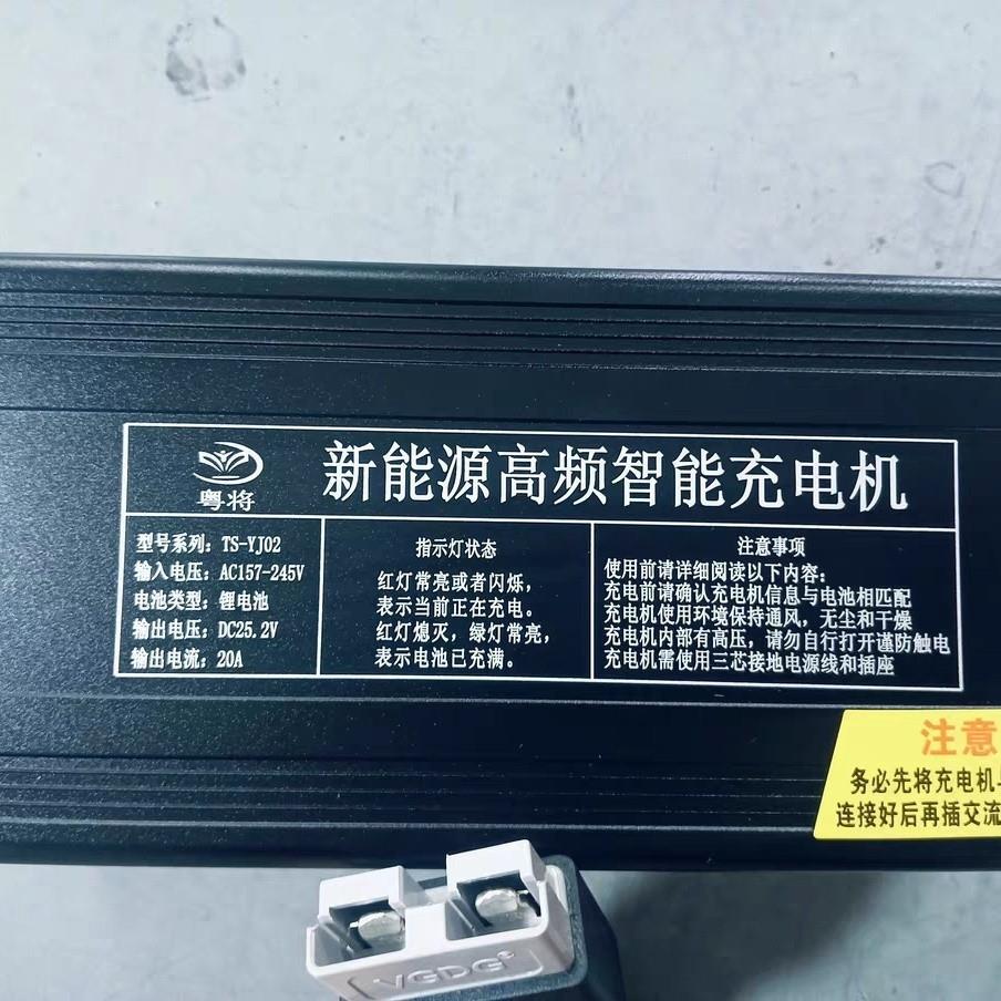 充电器220v移动电源车载