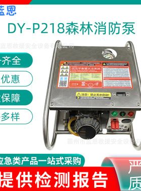 DY-P218森林消防泵双级叶轮离心泵大流量单缸两冲程优惠