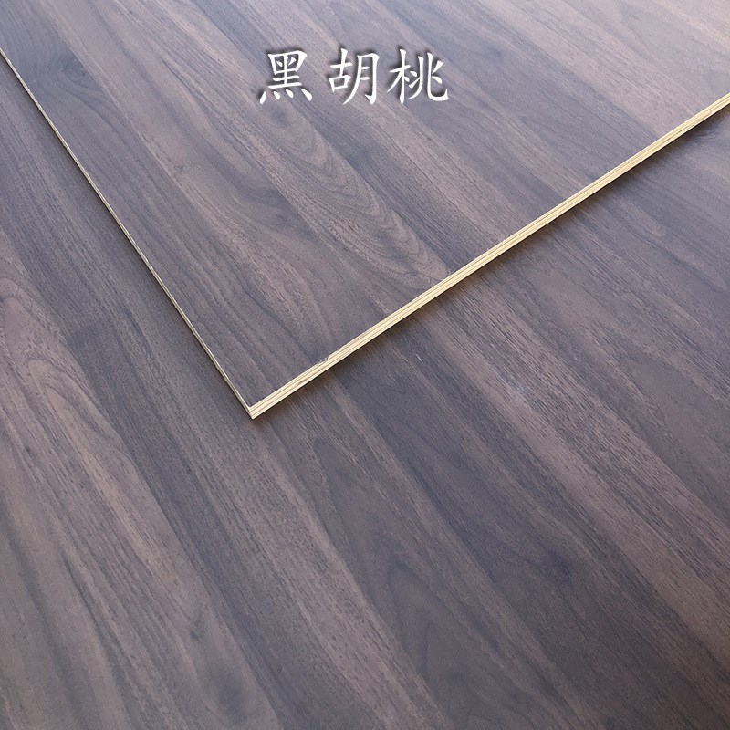 生态板防水纯黑色级实木板环橱柜三聚氰胺板材0黑免漆多层保橡木