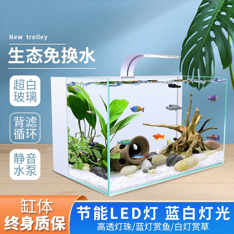 背滤海缸鱼缸客厅小型免换水超白玻璃桌面水族箱生态自循环家用缸