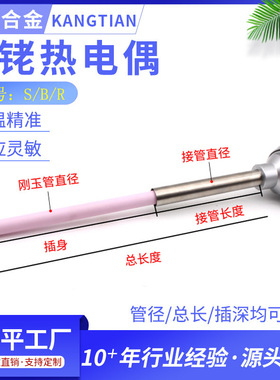 定制铂铑热电偶WRP130/131刚玉管热电偶温度传感器