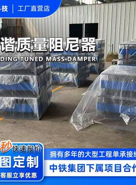 建电筑桥尼梁调谐质量阻尼器高楼防震涡流尼器高层连XRT廊TM阻D阻