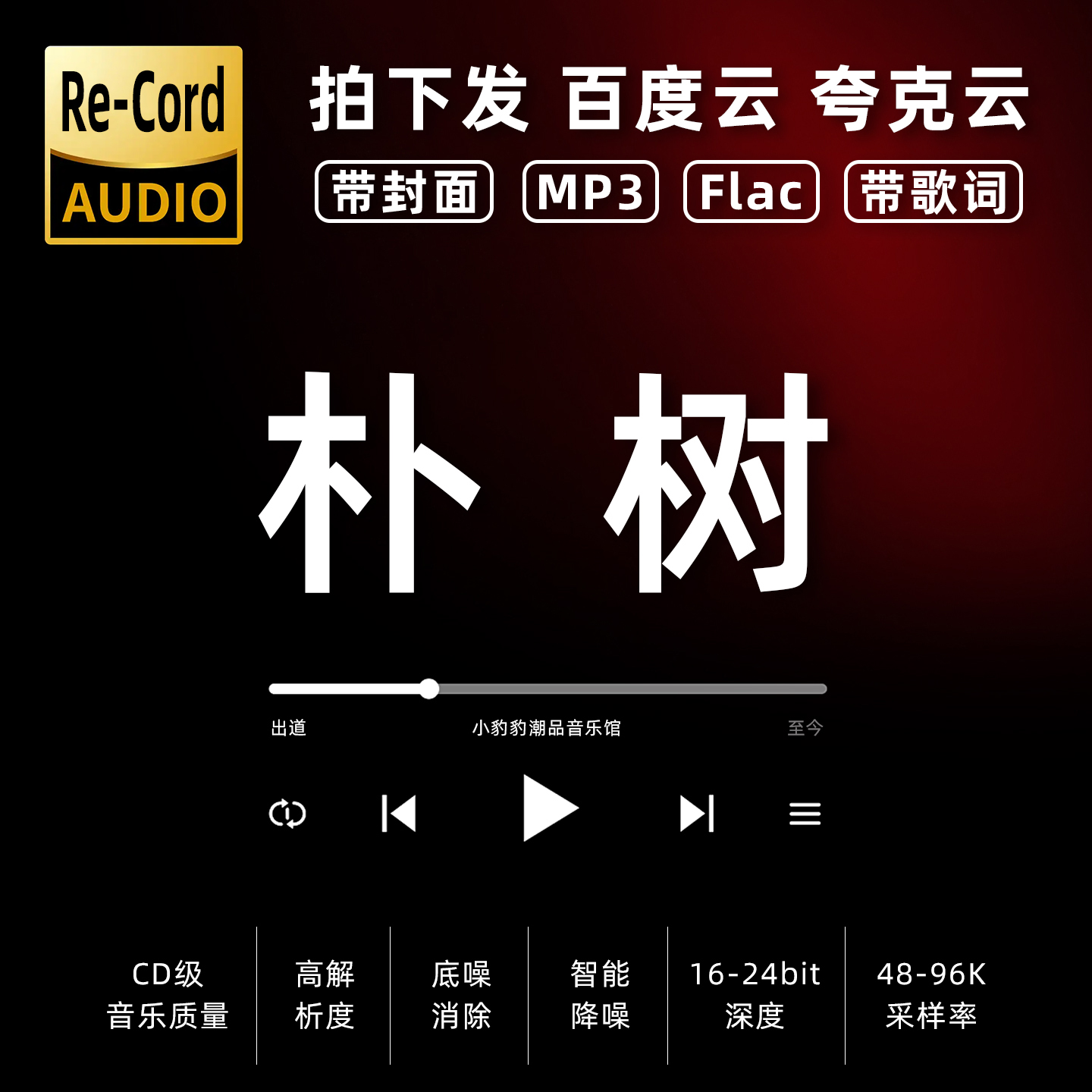 朴树黑胶mp3全集无损音乐车载华语经典华语流行flac音乐分享