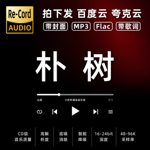朴树黑胶mp3全集无损音乐车载华语经典 华语流行flac音乐分享