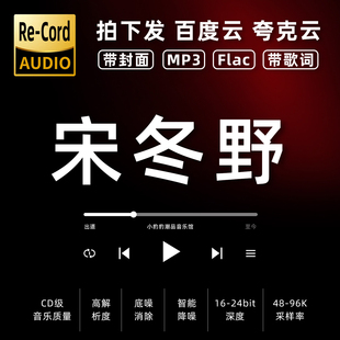 宋冬野黑胶mp3全集无损音乐车载华语经典 华语流行flac音乐分享