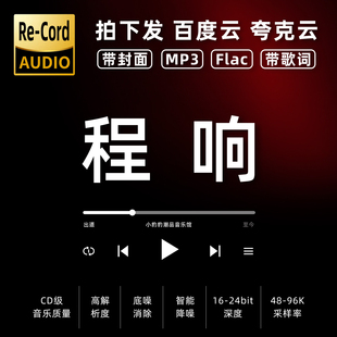程响黑胶mp3全集无损音乐车载华语经典 华语流行flac音乐分享