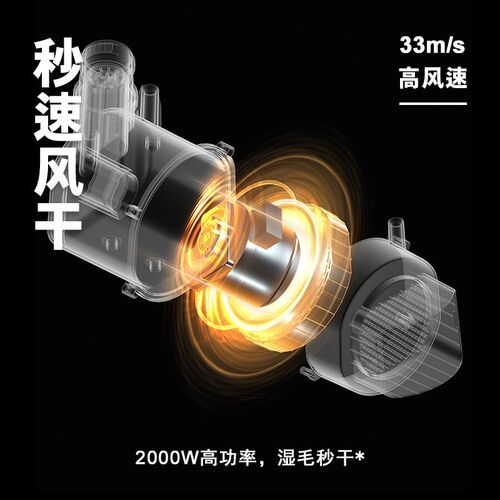 派可为宠物吹水机大功率静音吹风机大型犬狗狗洗澡烘干箱吹毛神器