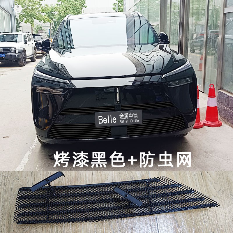魏牌蓝山防虫网前脸改装件金属中网外观装饰条保险杠亮条配件