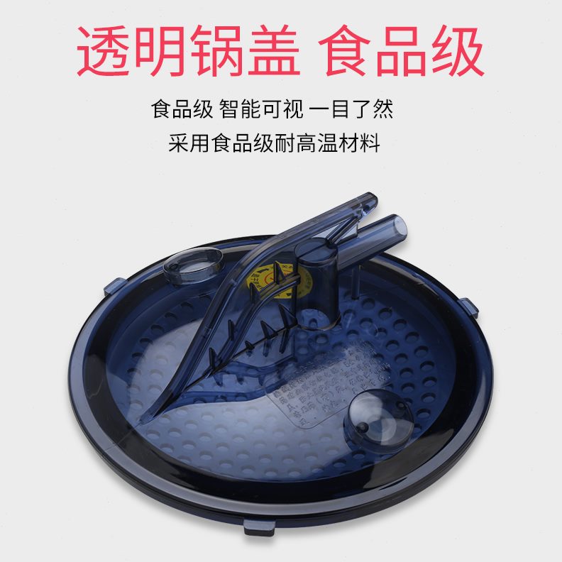 w蒸机4升浴大容量用桑拿汗蒸蒸汽锅熏箱2000仪蒸汽机熏木桶蒸锅