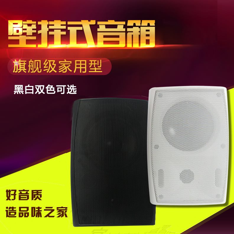 酒店公共背景音乐壁挂音箱挂壁式音响咖啡厅会议室喇叭餐厅音箱