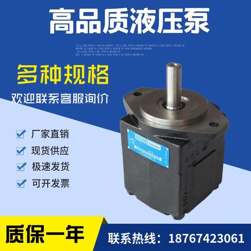 00C--1尼逊1001B叶片泵1431 RR0 R112101 ( 10T-0R ) R0BC 丹66T2