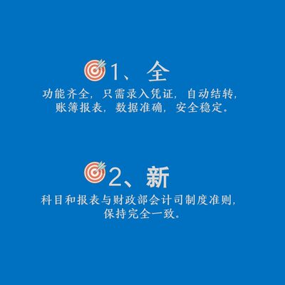 学校制准则代账做账记账报表财务软件度自动小学食堂幼儿园中会计