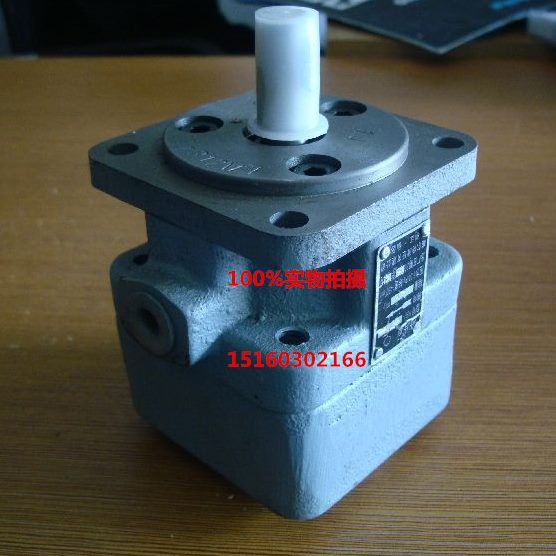 /Y-B/0C居永灵255/.2.5叶片泵316/Y10/0820///6324L仙/1126//310.