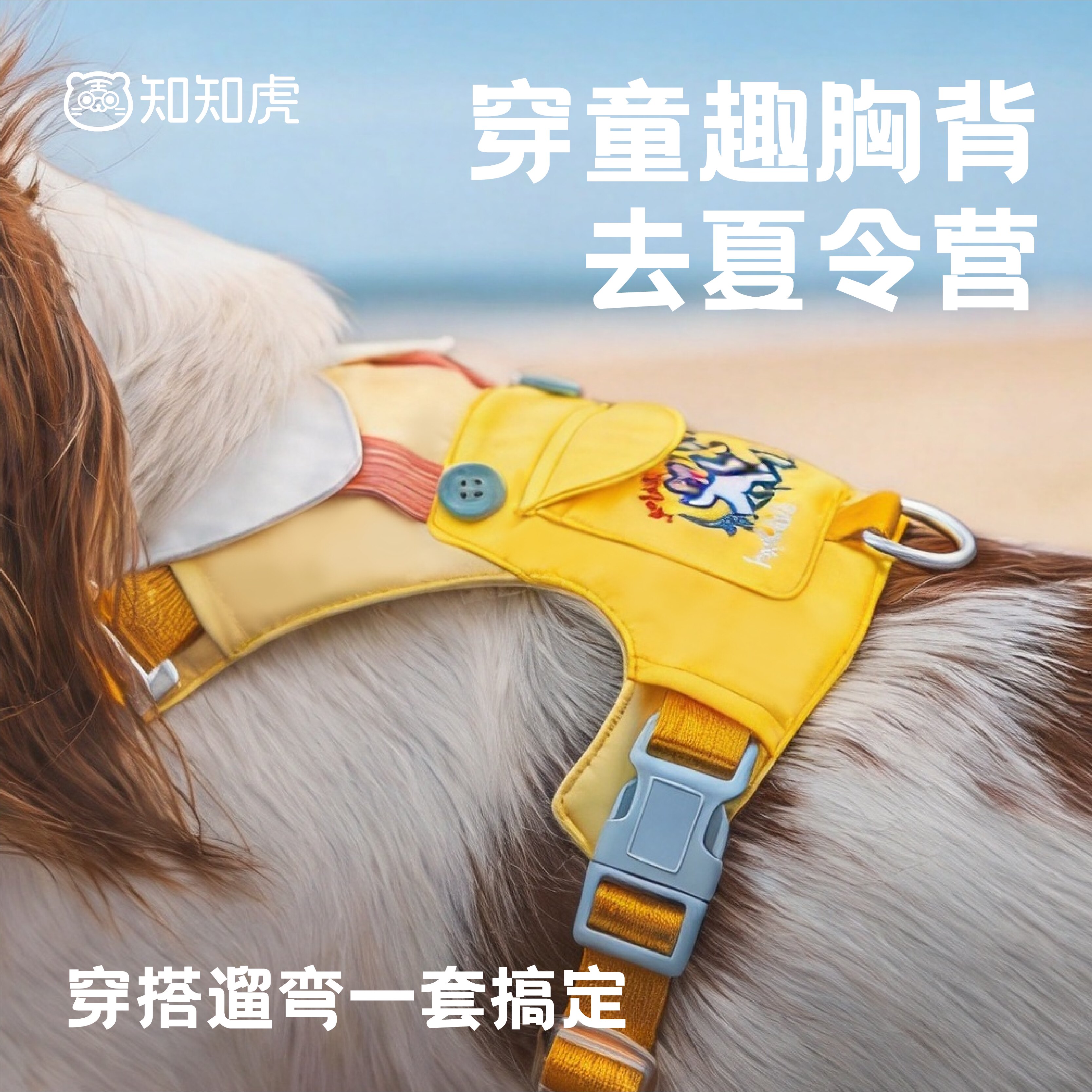 知知虎小型犬胸背牵引绳防爆冲