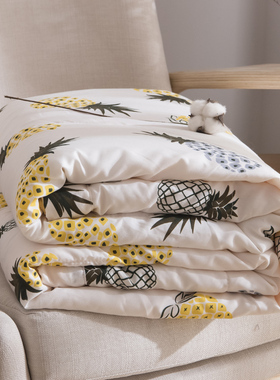 夏天水洗c棉夏凉被全棉被芯空调被薄款春秋薄被子单人宿舍双人夏