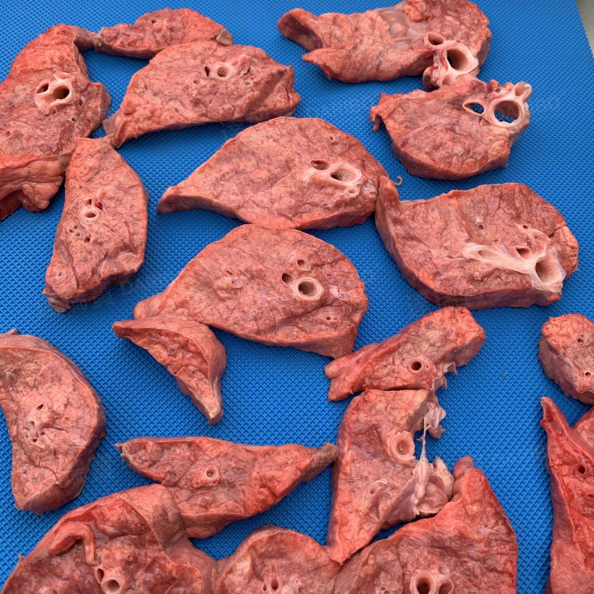 W猪肺切块机猪肉脯切条机鹅肉切块机切条机萝卜条鸡肉切块机