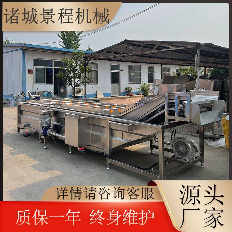 多功能果蔬清洗机叶类菜气泡清洗设备桃子蔬菜清洗加工设备