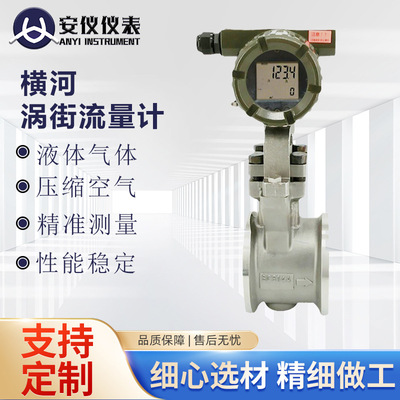 DY涡街流量计DY系列数字式涡街流量计横河DY涡街流量计防爆