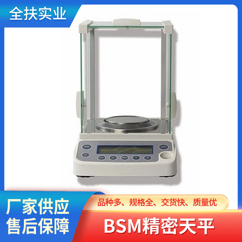 上海天平厂家 BSM精密天平 实验室百分之一克天平国产天平