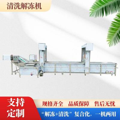 商用大型清洗解冻机器海鲜冷冻肉快速解冻设备鸡腿牛肉气泡解冻机