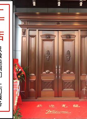 别墅铜大门双开对开门纯铜t进户单门真铜庭院门子母门中门防盗铜