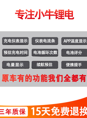 顺风九号电动车锂电池新C系C40 C65LiteC65 C90大容量增程48v动力