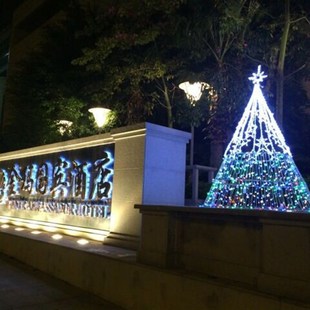 名样圣诞节装饰2米框架圣诞树灯光大型圣诞树客户定制款