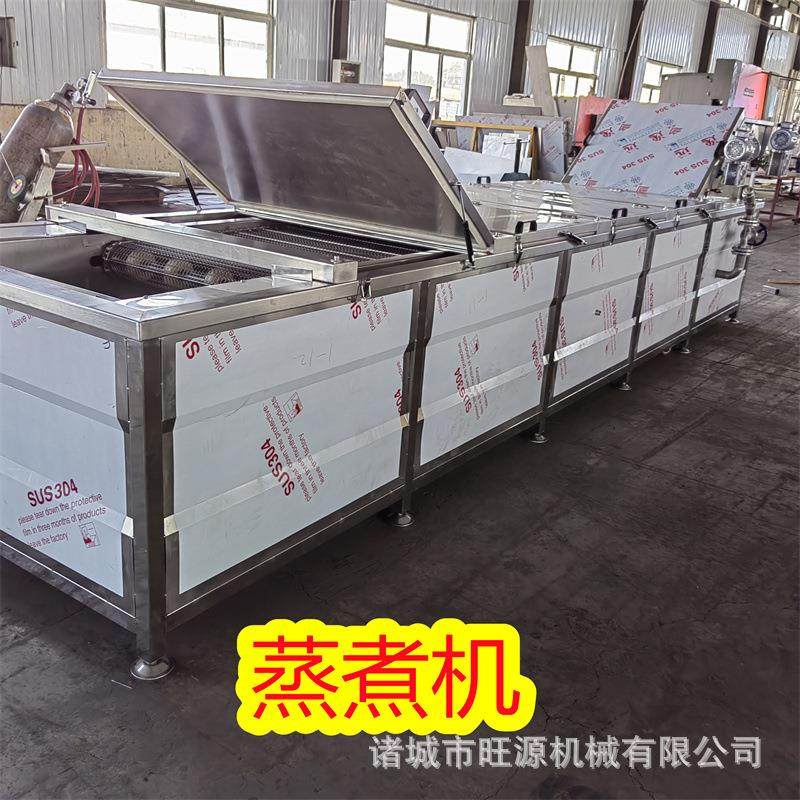 供应连续式果蔬漂烫生产线 粽子灭菌蒸煮机械 大型杀青护色设备,机械设备,消毒灭菌设备,淘宝优惠券,粉丝福利购,淘宝优惠卷