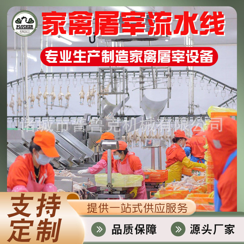 厂家供应家禽屠宰全自动流水线 滑架家禽屠宰线 杀鸡屠宰线机器