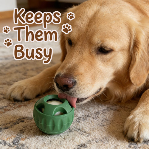 跨境外贸Pupsicle狗狗硅胶缓慢食器漏食舔食丰荣玩具球托盘磨具