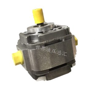 F21液压2 XG4A AP1.塞F2PGV P.111齿轮泵 3PX 110