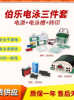 Bio-Rad小型垂直水平电泳槽电源转印电泳仪1658033电泳三件套
