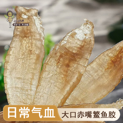 嗨动力大口赤嘴鳘鱼胶干货